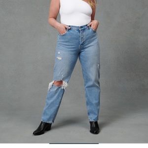 Abercrombie and Fitch - the dad - high rise jeans - curve love